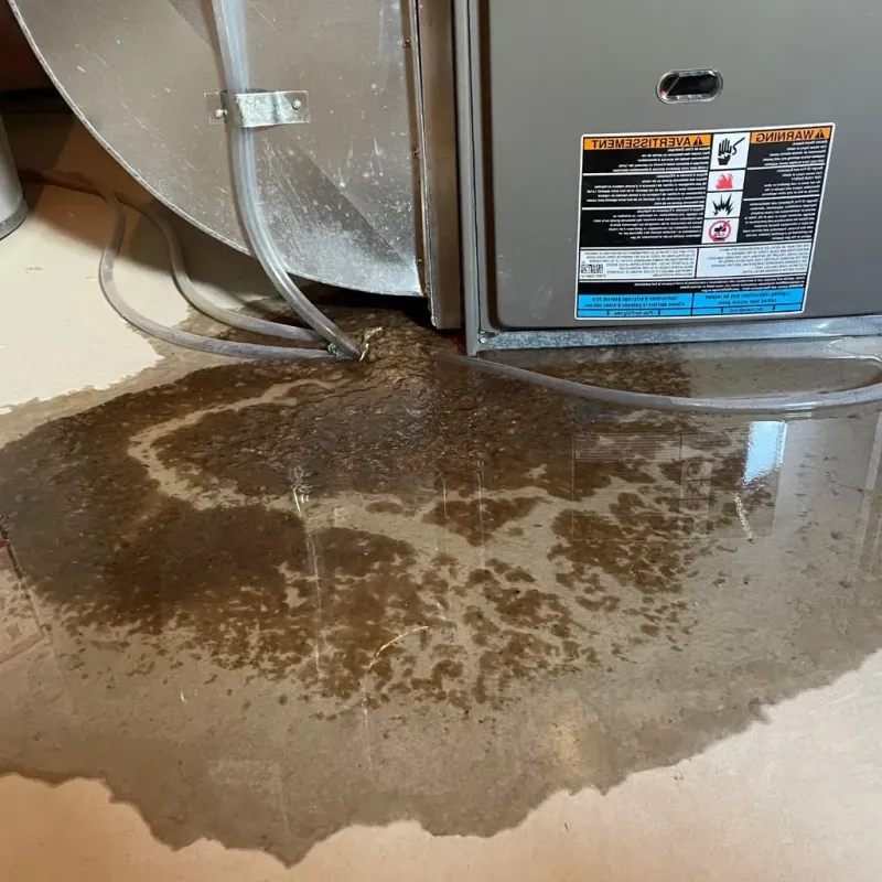 Pipe Burst and Leak Restoration in Niskayuna, NY